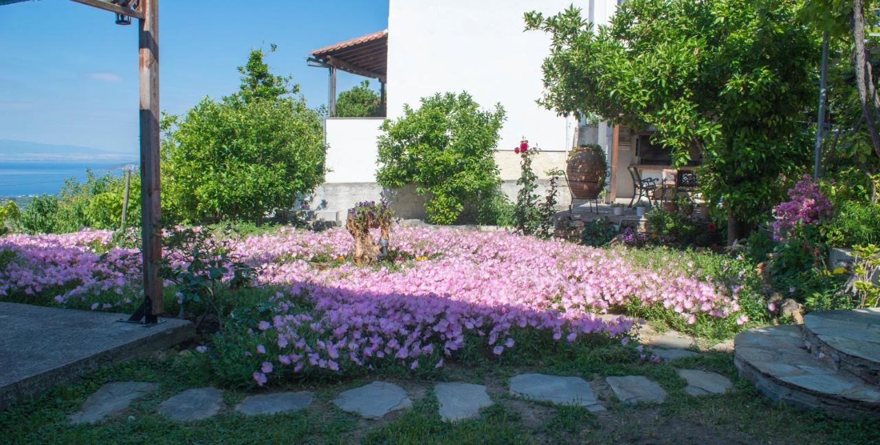 Mikros Paradisos Pelion Áyios Vlásios 외부 사진